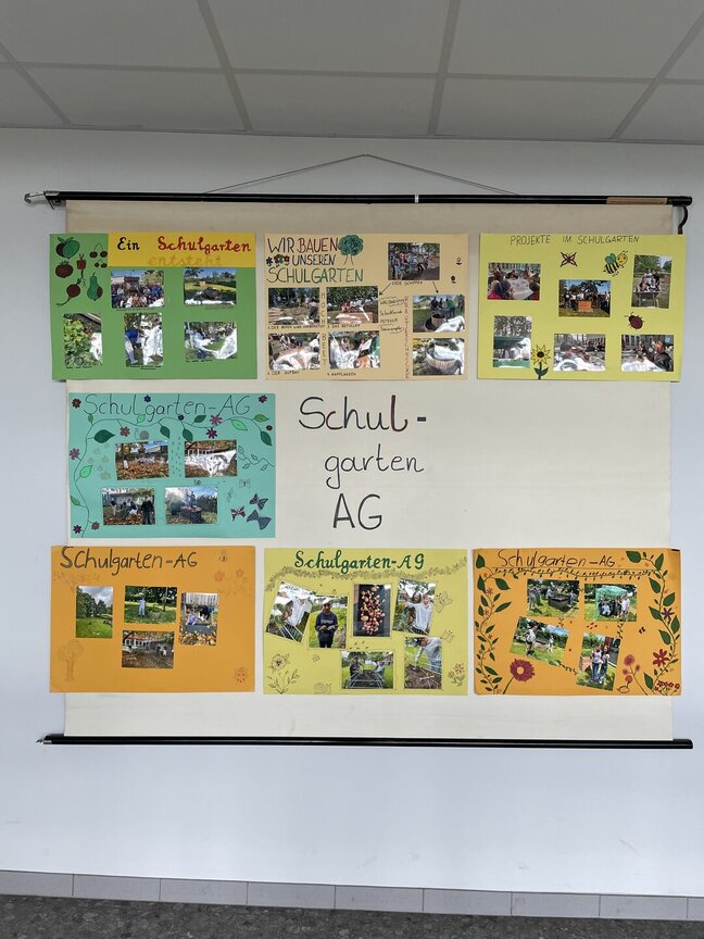 Schulgarten18