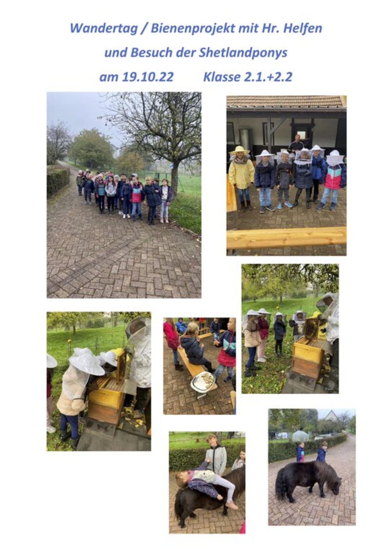Wandertag_Bienen_Stufe_2