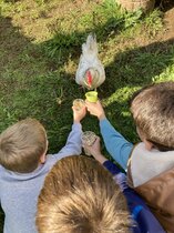 2025_Huhn_3