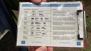 2026_Wasserforscher_3