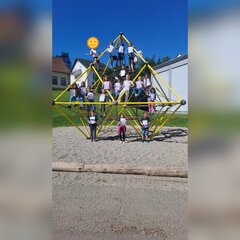 2025_Biene_3