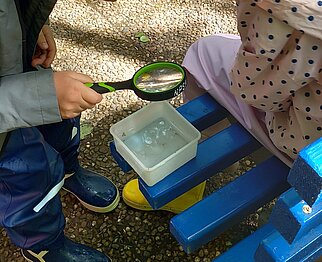 2026_Wasserforscher_1