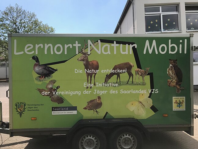 Waldprojekt_2018_Bild_10