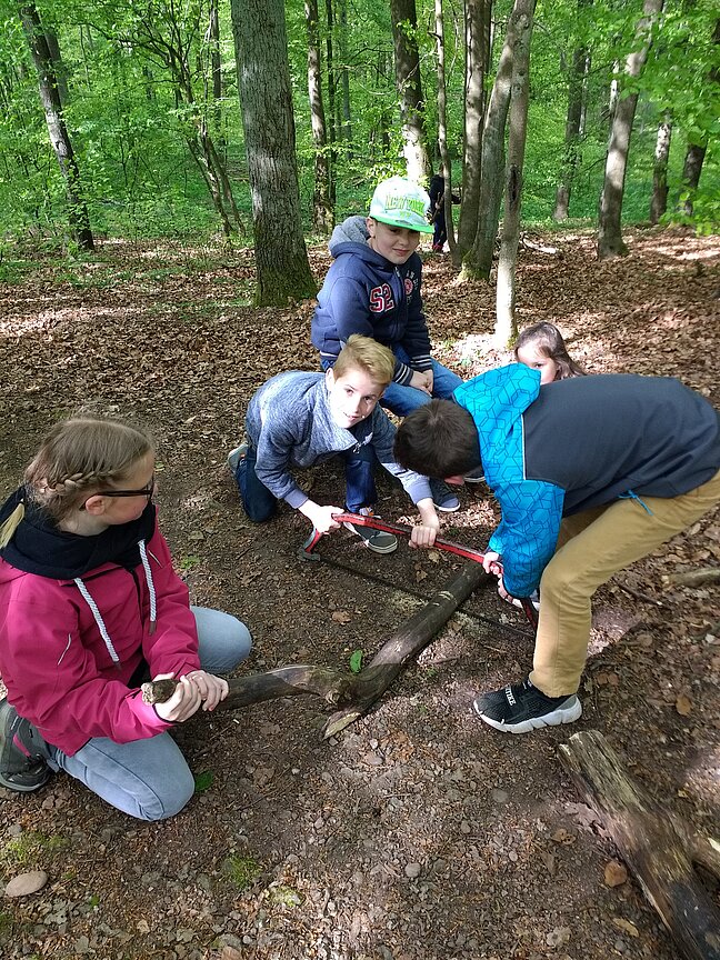 Waldprojekt_2018_Bild_11