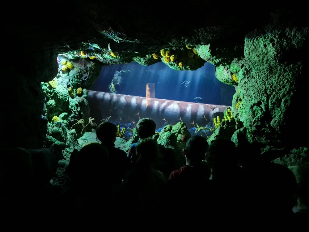 Dinopark_Foto_12