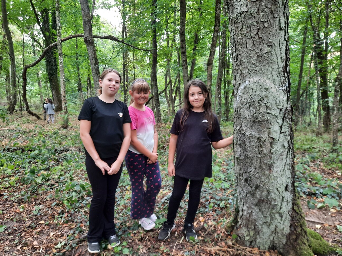 Waldtag_270825__8_