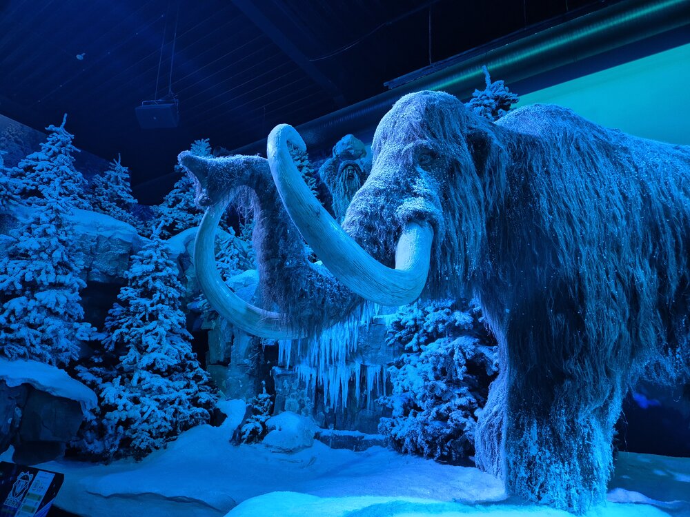 Dinopark_Foto_33