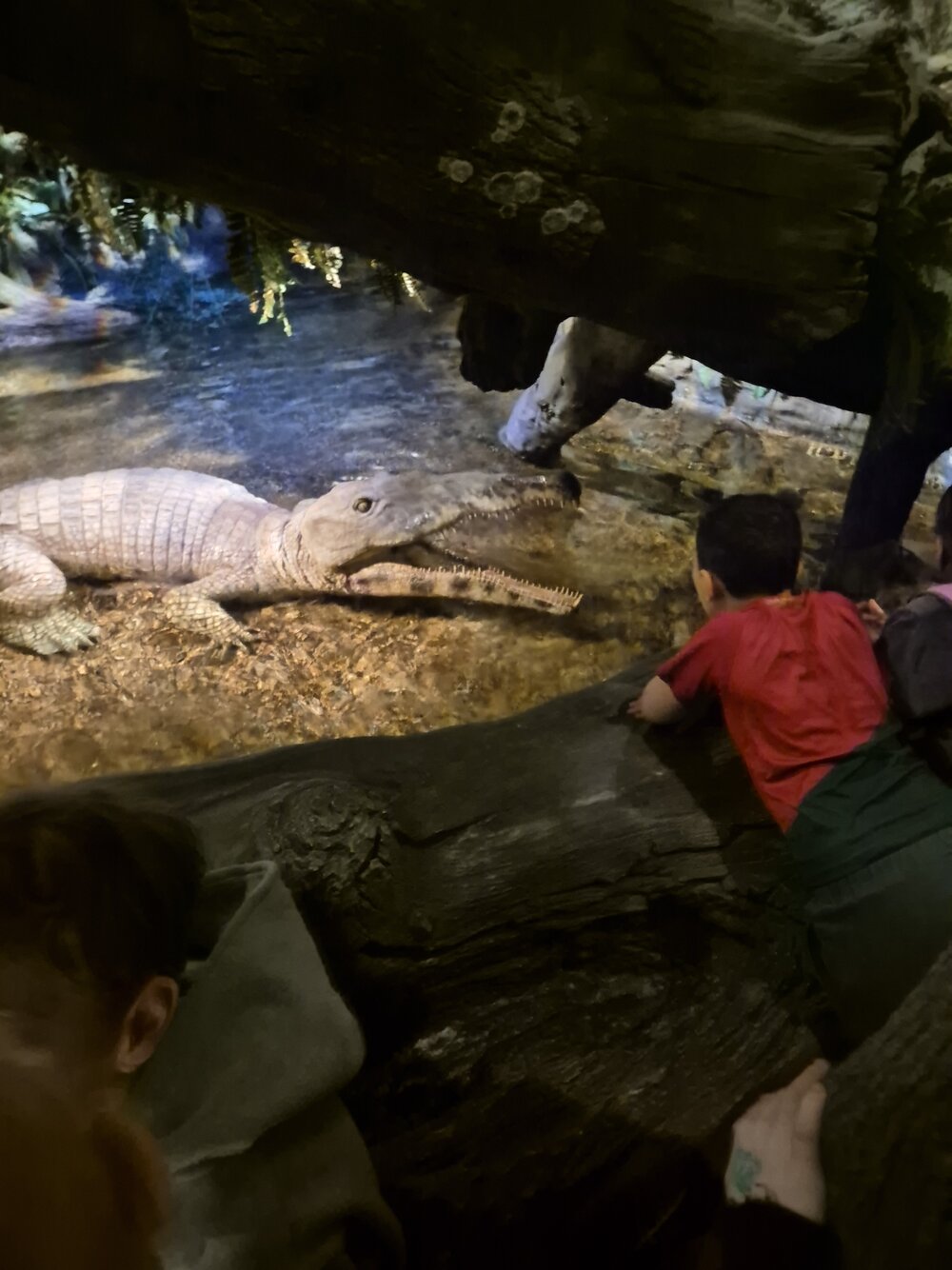 Dinopark_Foto_23