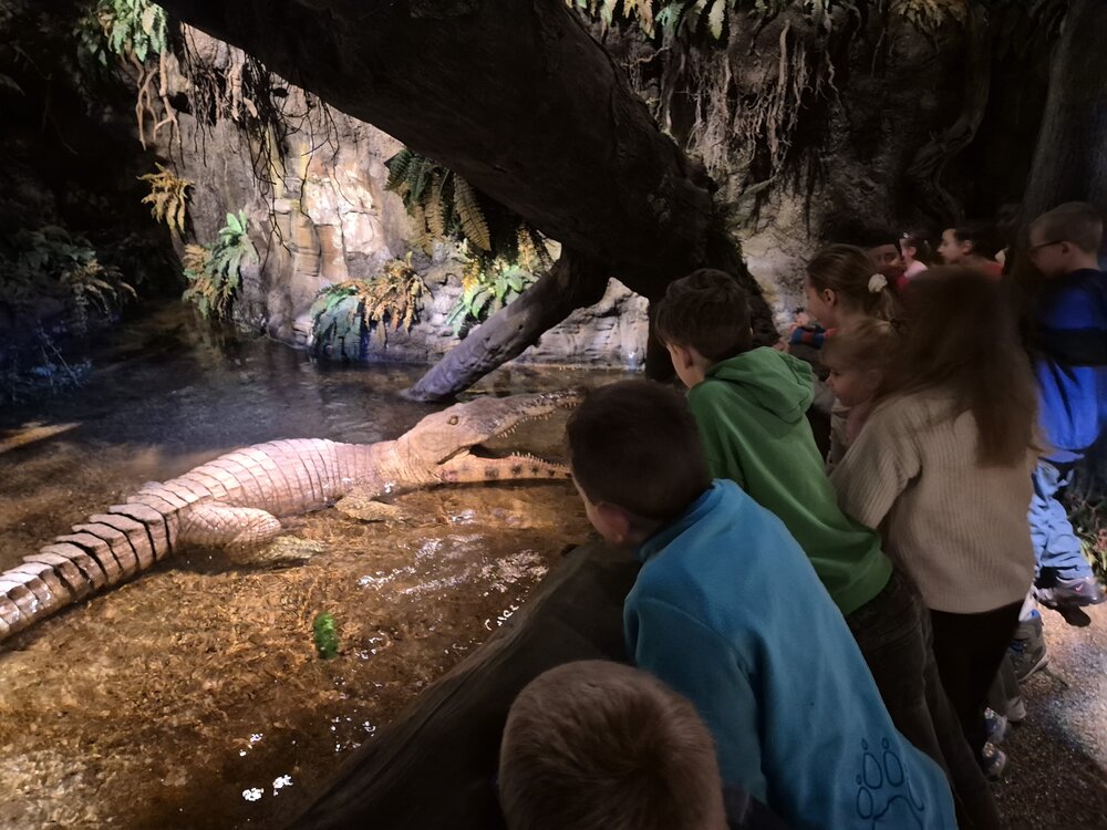 Dinopark_Foto_22