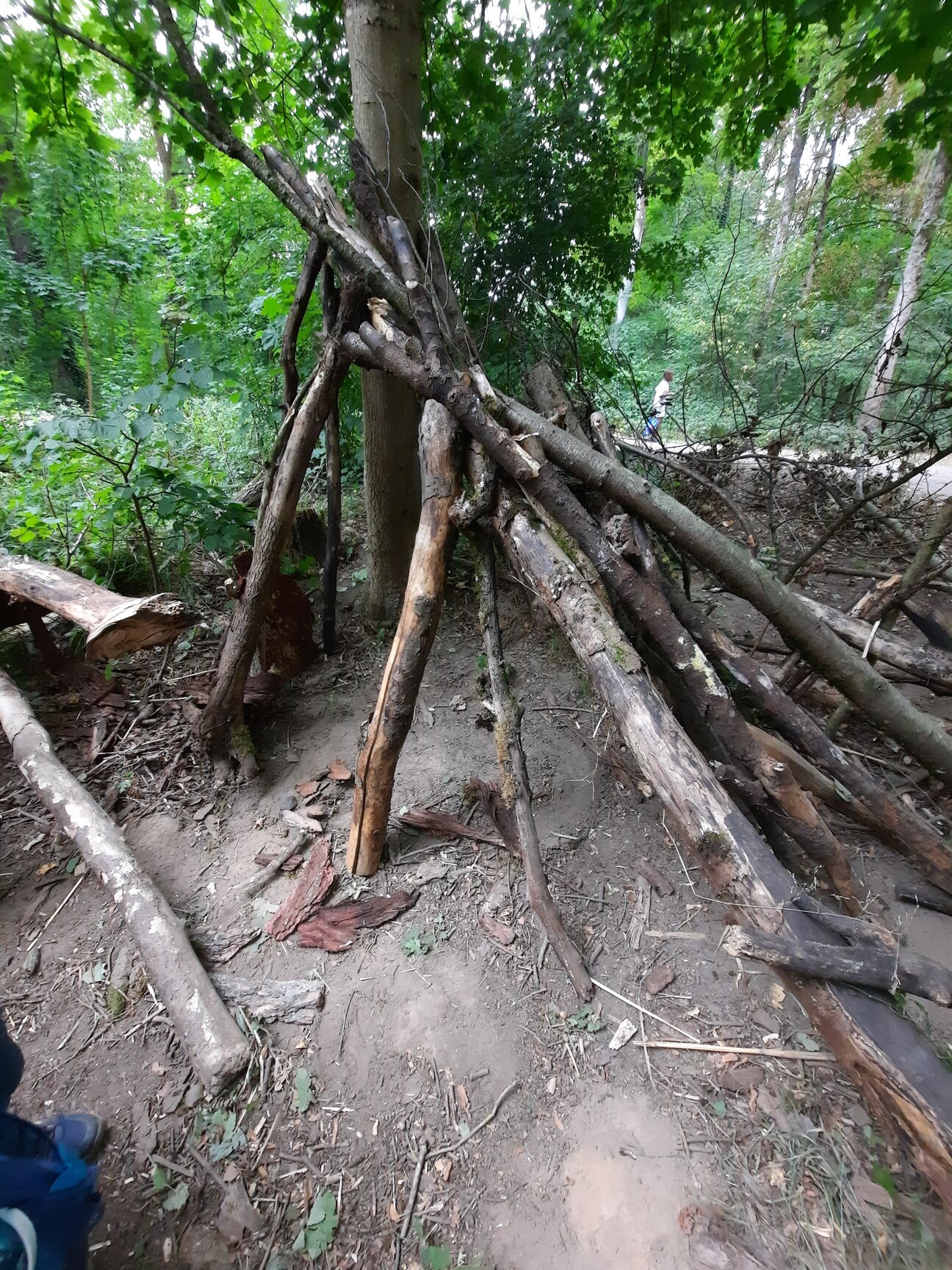 Waldtag_270825__19_