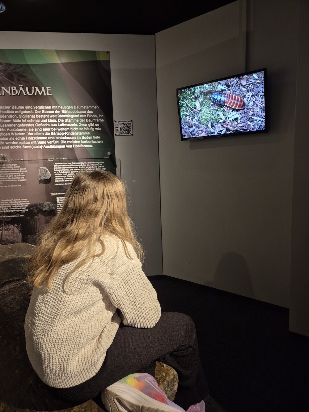 Dinopark_Foto_15