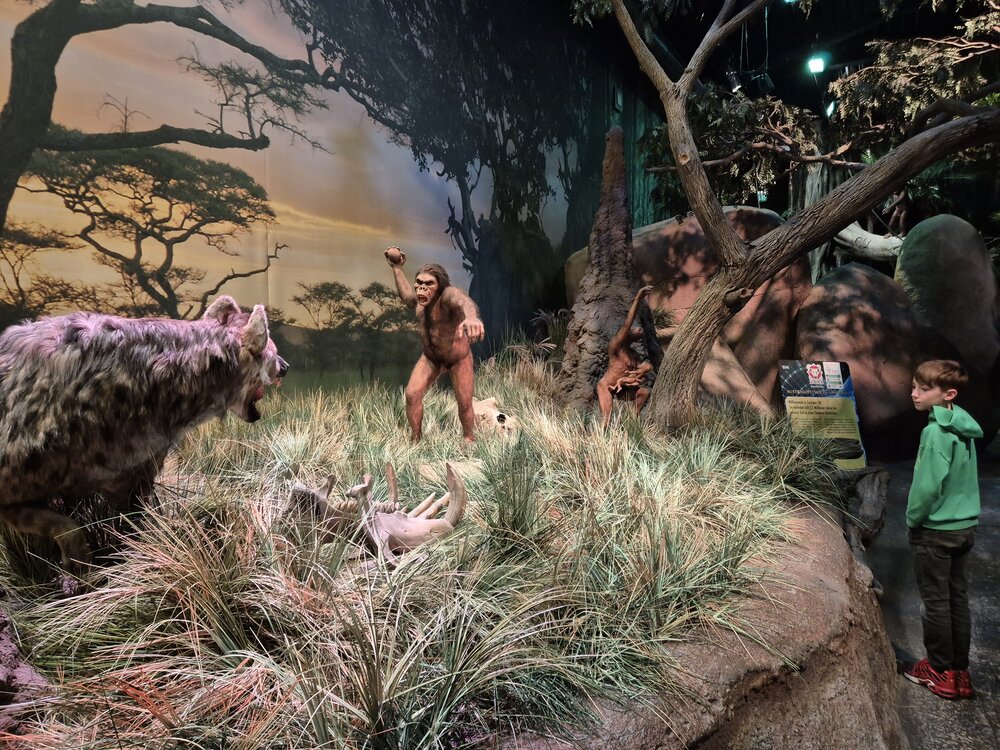 Dinopark_Foto_34