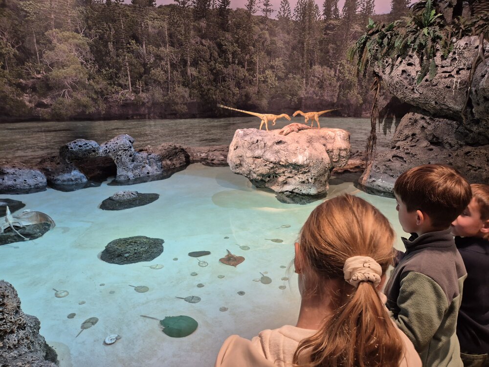 Dinopark_Foto_24