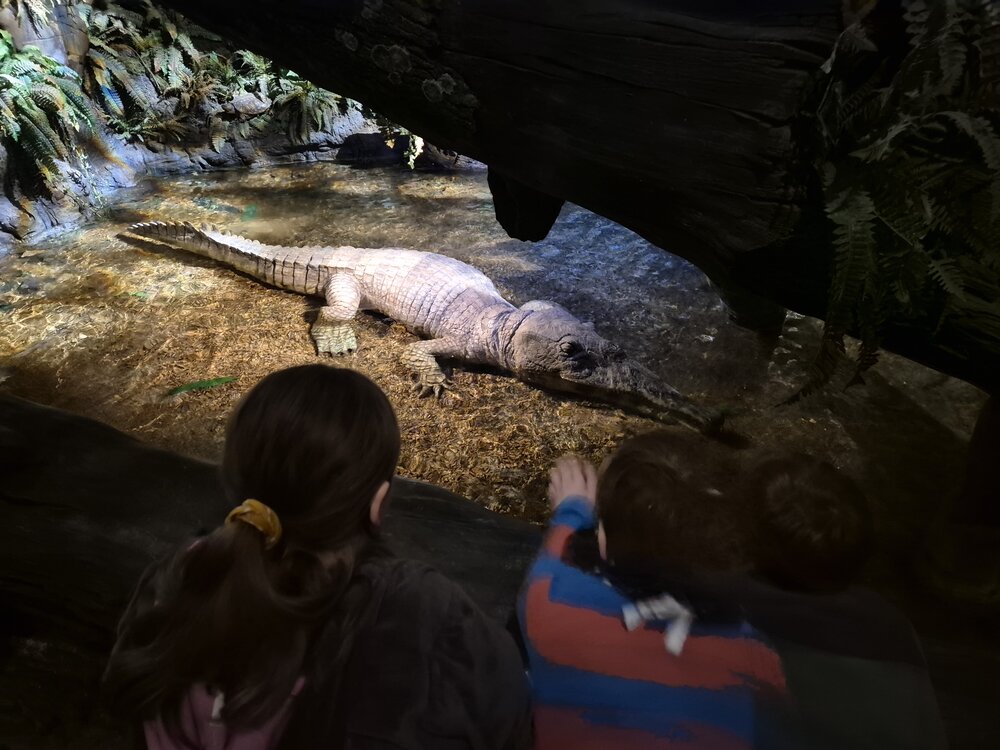 Dinopark_Foto_21