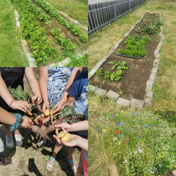 E971736A-D205-4FAA-BB72-9BEB0EBC99E1