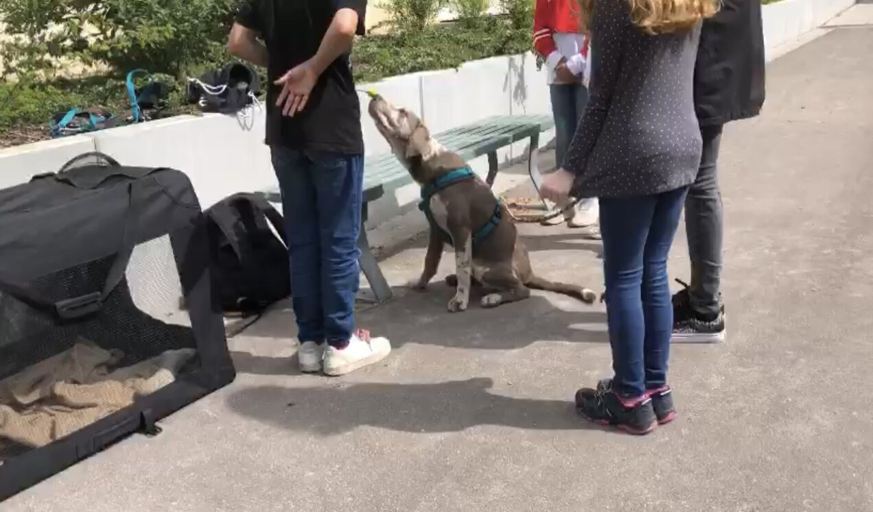 Meine Aufgabe ist es, den kleinen Ball am Ende der Teleskopstange zu berühren. IMG_6050