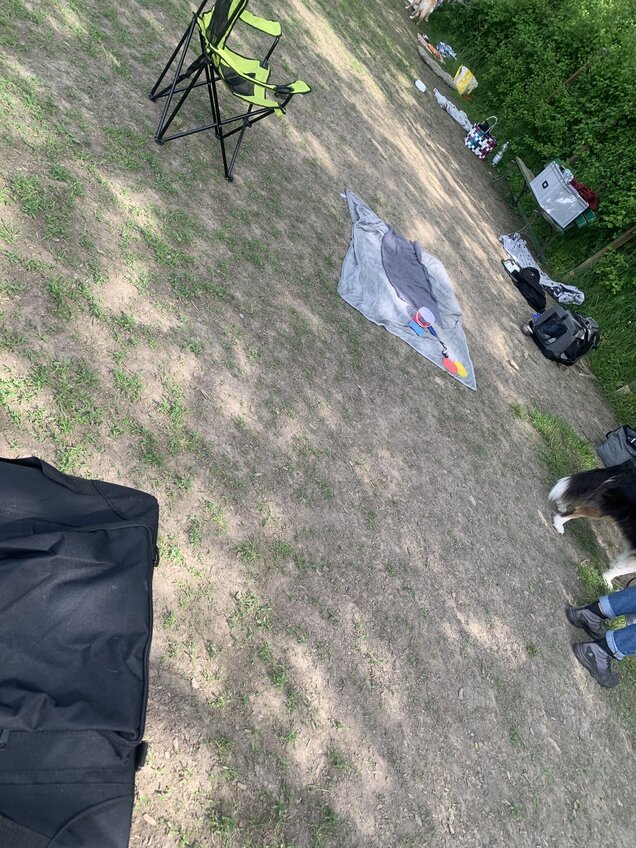 Ein Ausschnitt vom Hundeplatz IMG_6030