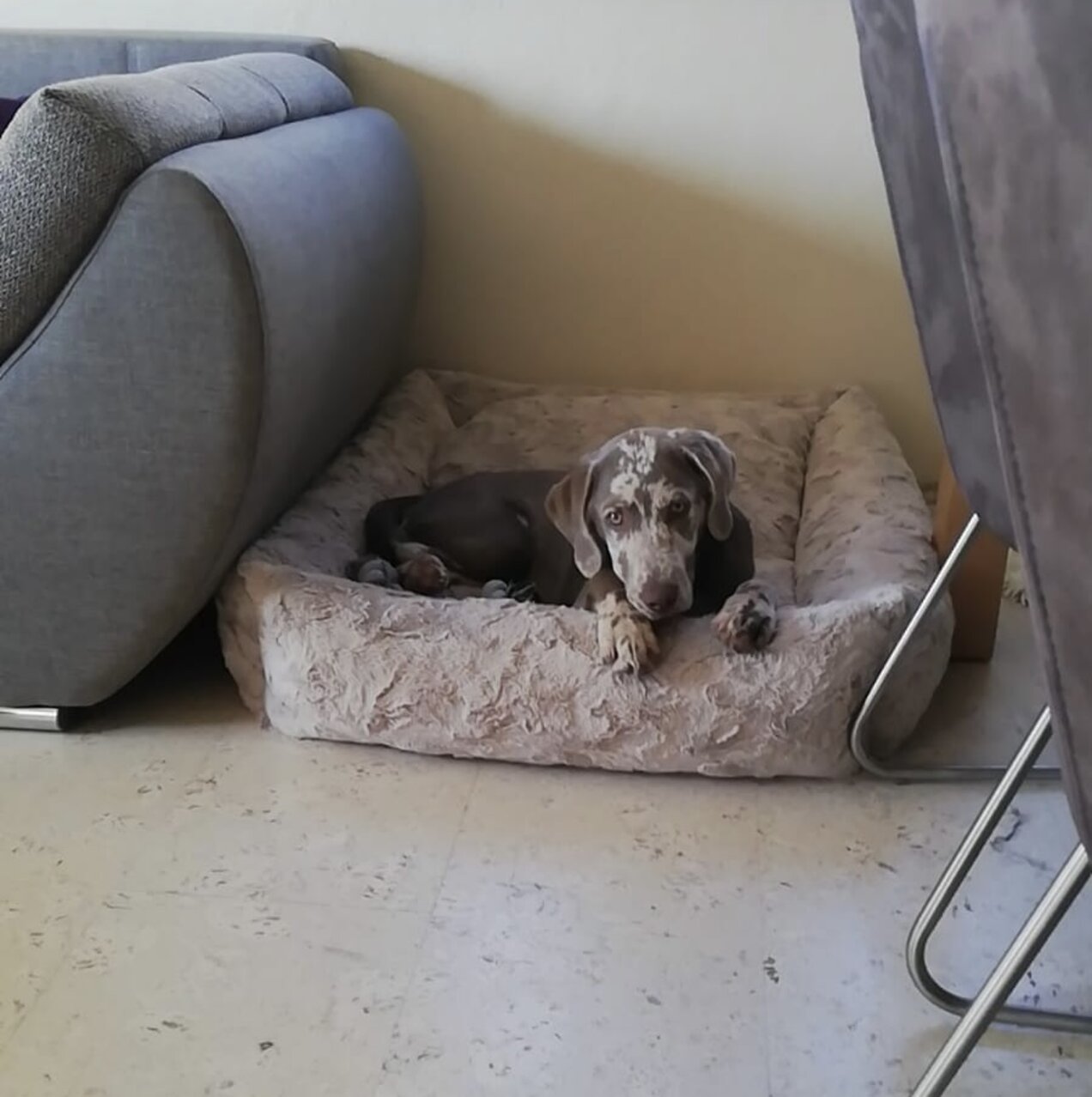 6c5512ad-932c-4bcc-a184-3d0ac31ccf73