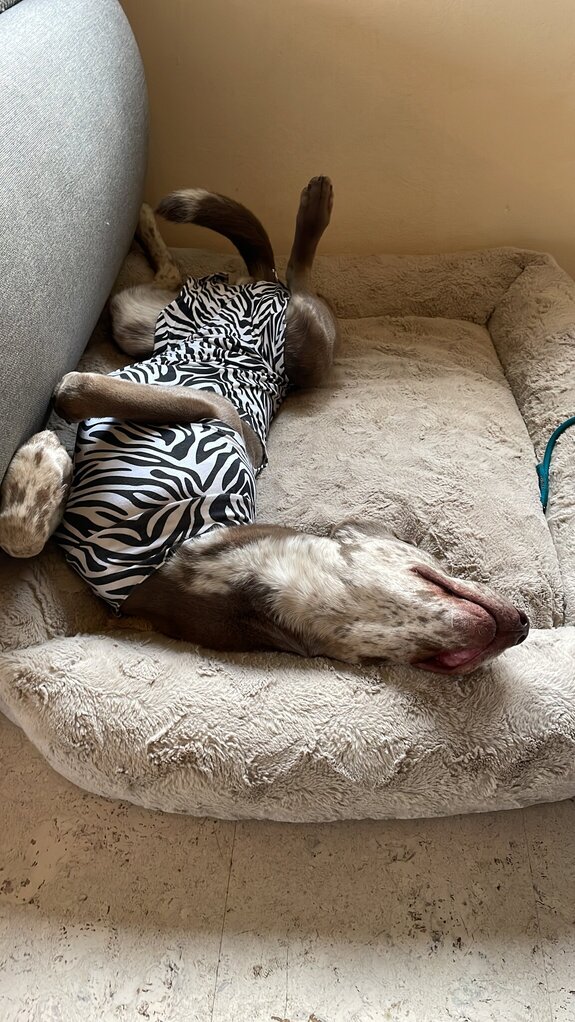 0470108F-F0BA-4612-9BF0-8DB286EC2CAB