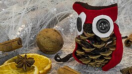 1669988714_pixabay_eule_basteln_100
